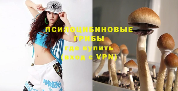 прущие крисы Нефтекумск