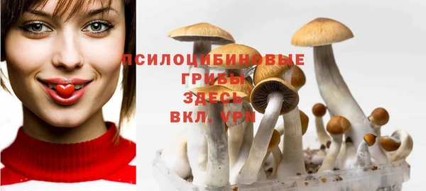 прущие крисы Нефтекумск