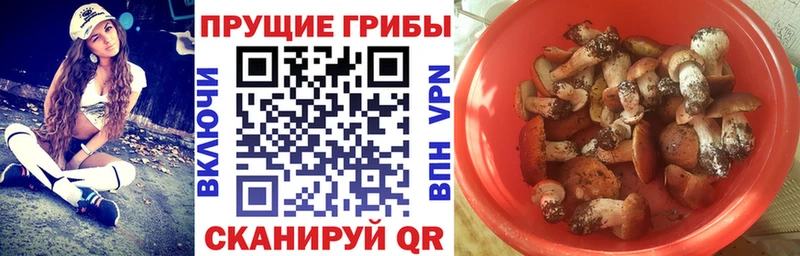 цены   Порхов  Галлюциногенные грибы мухоморы 